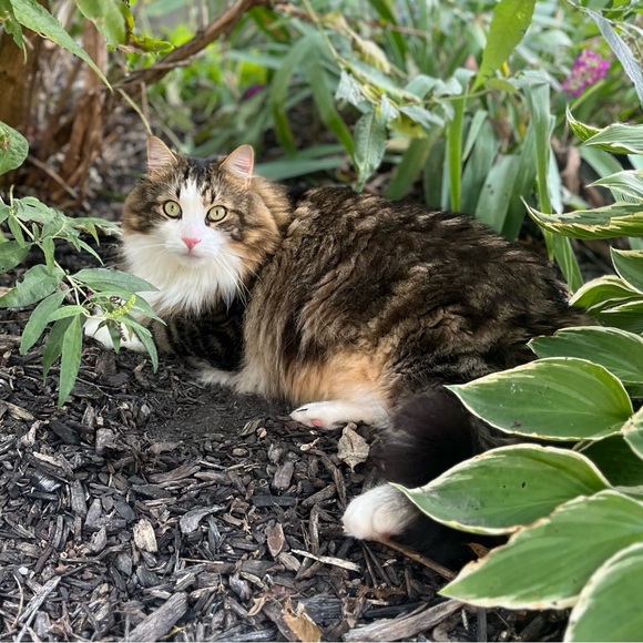 Meet your Posher, Karen - Picture 5 of 10